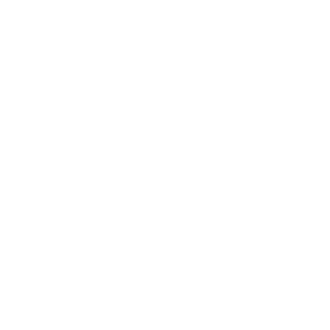 expert
