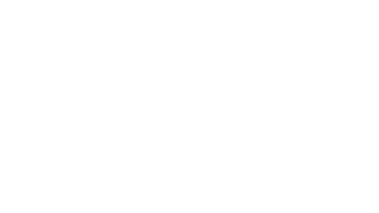 Honky Tonk Festival