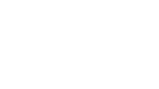 L19 Agentur für Livemarketing