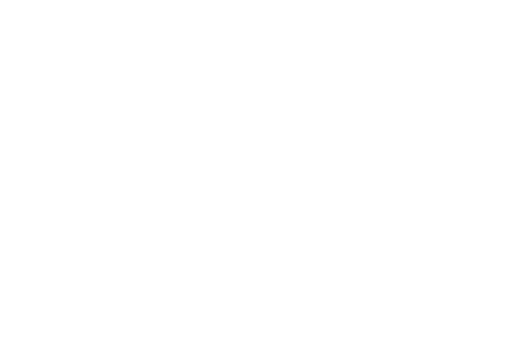 Stadtfest Schweinfurt